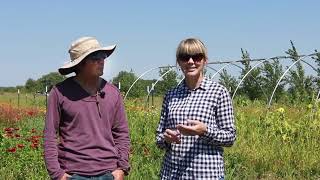 Impact of Northfield Shares and nonprofit partner, Sharing Our Roots