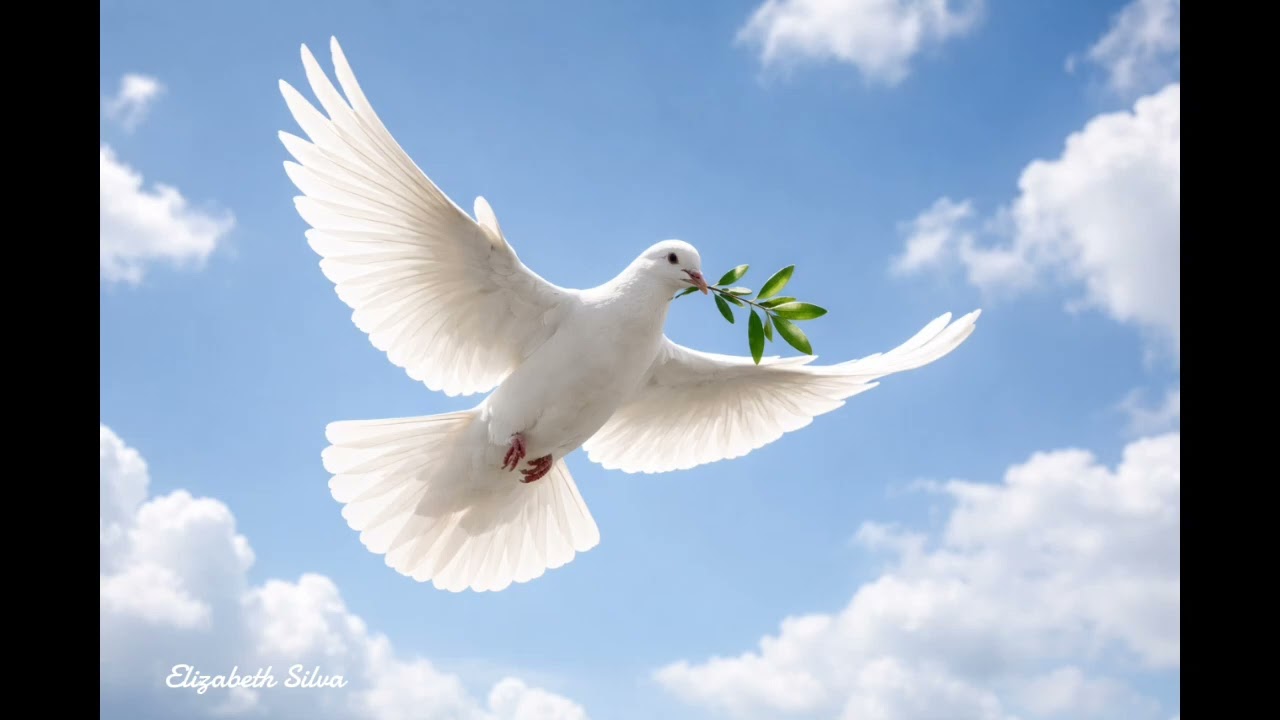 Elizabeth Silva – Milagre na Obediência –Louvor