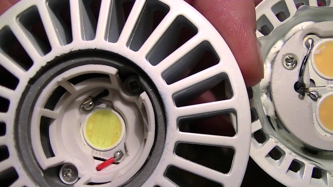 Older EcoSmart (Lighting Science Group) LED lamp LEDs