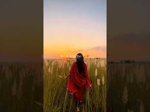 Chehra Ek Phool Ki-Afreen Afreen | #aesthetic #songlyrics #lyricsvideo #musicshorts #lyricalstatus