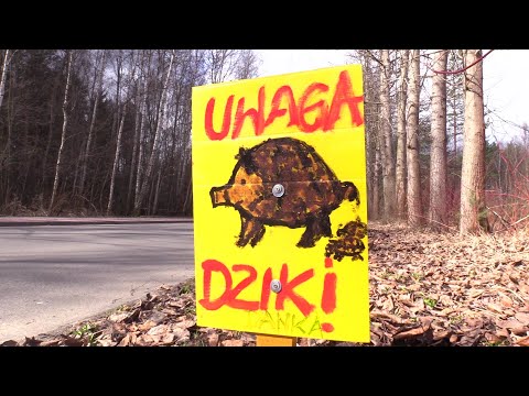 Dziwne znaki w