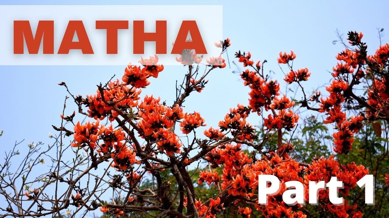 Mathaburu, Pardi Lake and Pakhi Pahar - Matha (Part - 1)