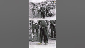 (c) FULRO - Tổ Chức Ph.ản Động Tàn Ác Có Cửa Quay Trở Lại Và Lợi Hại Hơn Xưa ??? #shorts