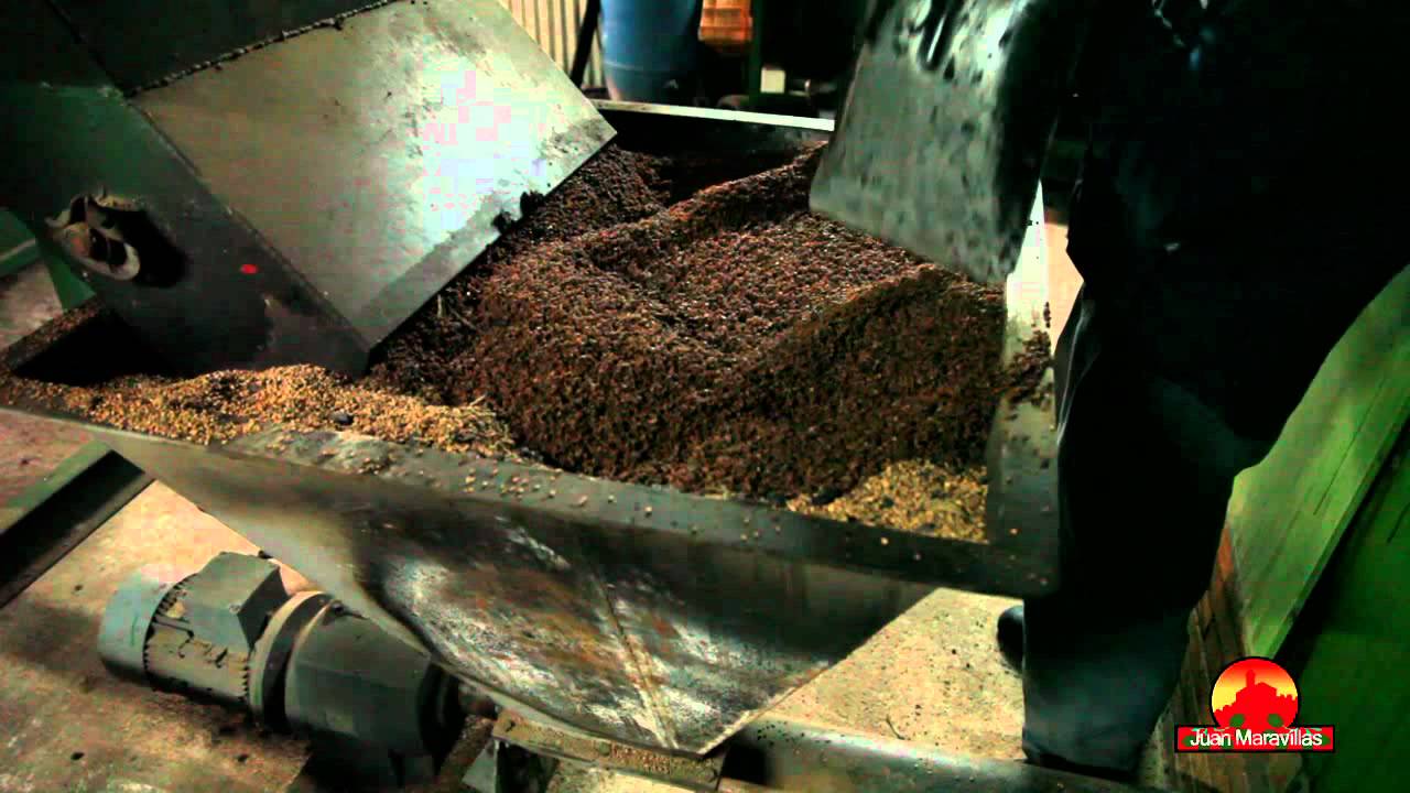 PROMO ALMAZARA JUAN MARAVILLAS