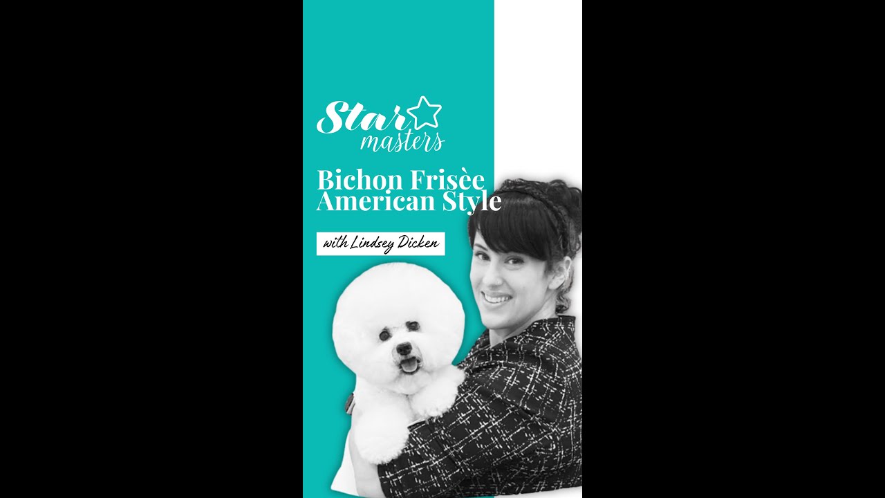 Special Guest - Bichon Frisèe - Stile Americano