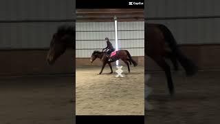 Aaaahhhhhhh Check Pinned Again