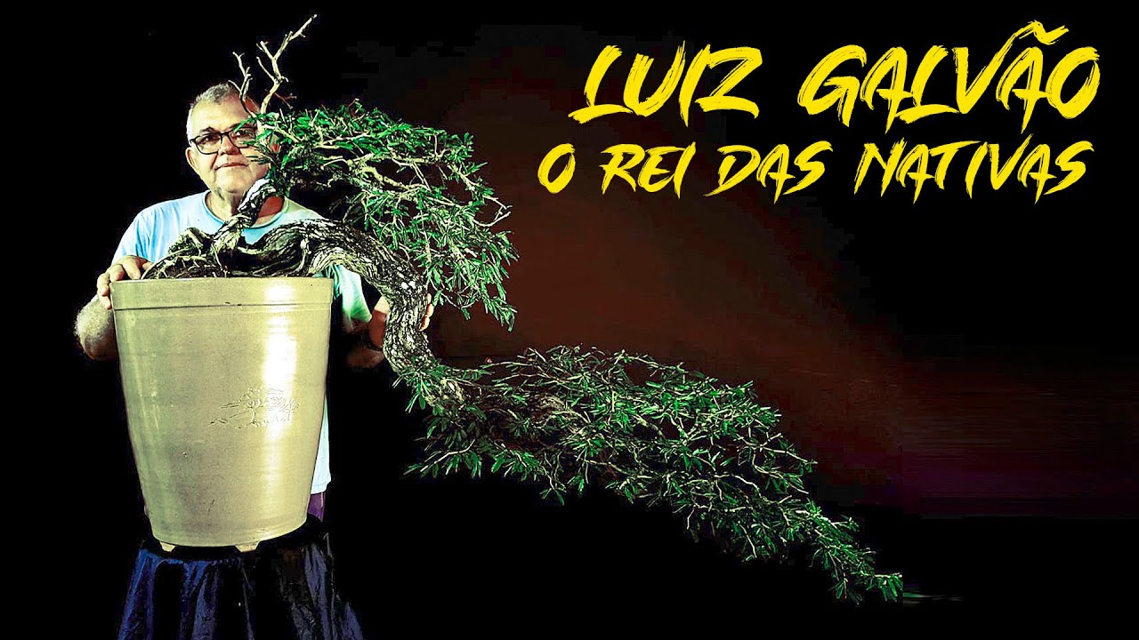 Viveiro de Bonsai do Sr  Luiz Galvão  - Vamos Juntos Conhecer!