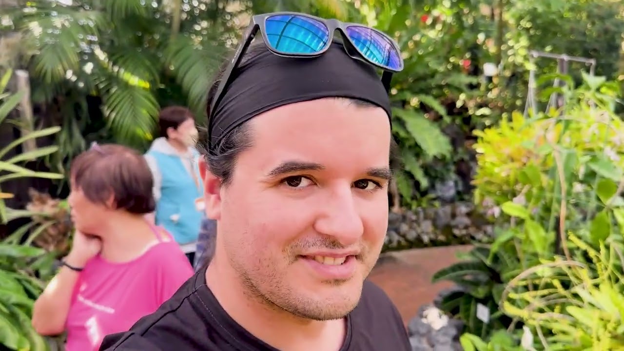 Ein Tag voller Blumen, Toren und Katzen