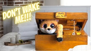 Don’t Wake Me !!! | Useless Box | Toy Box