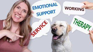Service Dogs, Working Dogs, Therapy Dogs, Emotional Support Dogs  What’s the Difference