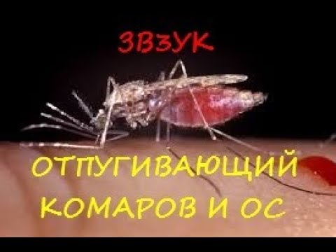 Видео: 21 начина за предотвратяване на ухапвания от комари