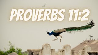 Bible Verse Of The Day | Scripture: Proverbs 11:2