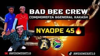 BAD BEE CREW_ NYAOPE (45HIT)