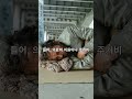 시니어 복지혜택정보. 아는것이 힘.