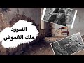 النمرود، لغز الملك الغامض وأكبر طاغية في التاريخ! - حسن هاشم | غموض ملك