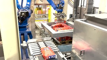 Robot palletizing of cement in 25 kg bags