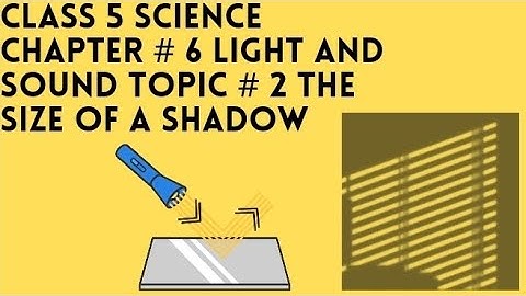 Class 5 Science Chapter # 6 Light and Sound||Topic # 2 The size of a Shadow