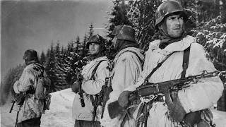 Why Patton’s 90-Degree Turn Was Deemed Impossible - The Math That Saved the 101st Airborne