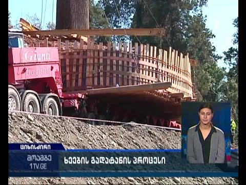 „ზიმომ“ ციხისძირიდან ხეების გატანის პროცესი დაიწყო