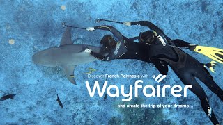 Craft your Dream French Polynesia Vacation! | Wayfairer Travel