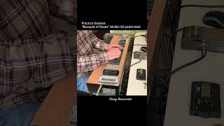 Pedal Steel Guitar - “Bouquet of Roses” #steelguitar #countrymusic #guitar #instrumental #musician