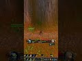 WoW Classic Era restoration shaman twink pvp #290 - paladin(25) - pally uses everything part 2💀💀