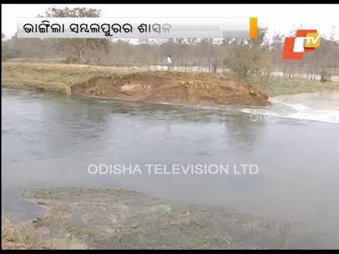 Farm Lands In Sambalpur Inundated After Breach In Canal Embankment