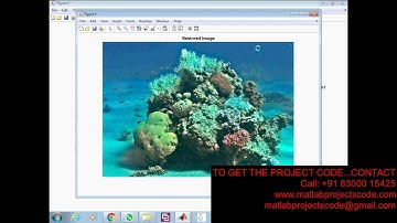Single Underwater Image Restoration Based on Depth Estimation and Transmission