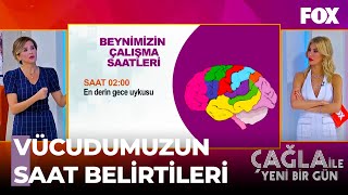 Beynimizin En İşlevsel Olduğu Çalışma Saatleri - Çağla İle Yeni Bir Gün