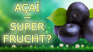 Açaí Beere Was Können Die Açaí Beeren Wirklich?