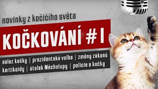 KOČKOVÁNÍ #1 - Zákony | Povinnosti | Kočičí nemoci