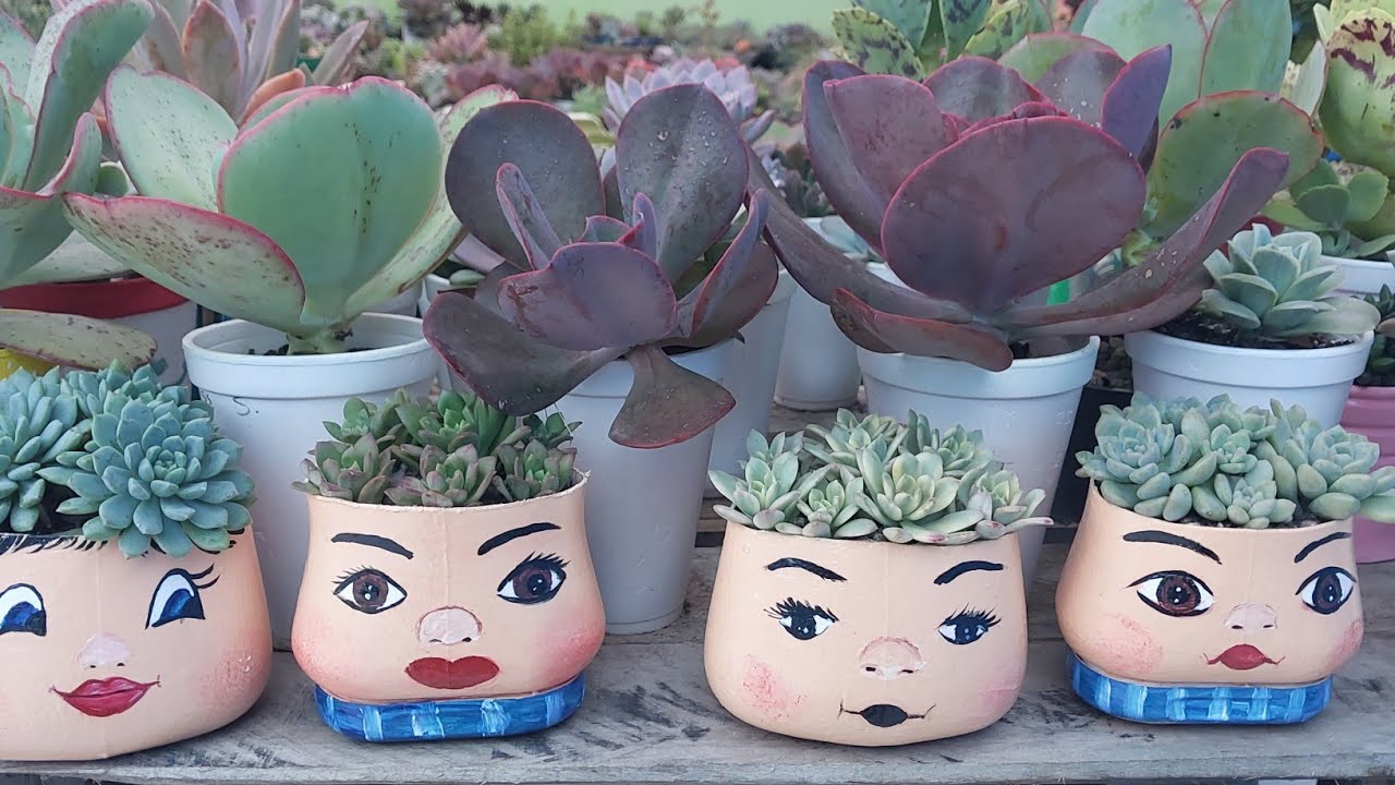 Como fazer vasinhos fofos com embalagem reciclável para plantar suculentas