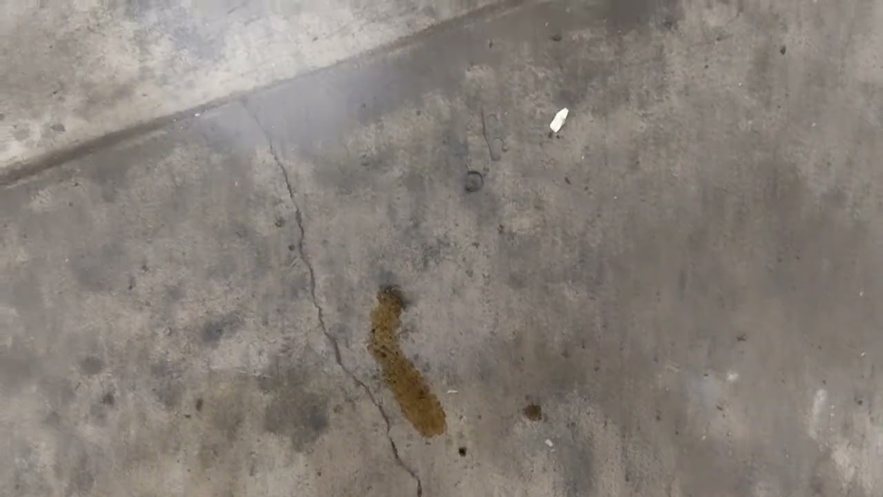 lexus es350 updated fluid leak diagnosis