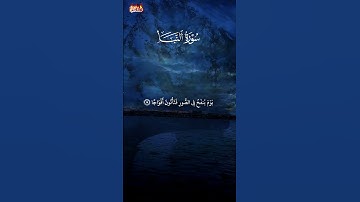 sorst annaba سورة النبأ #علاء_عقل #علاء #القرآن_الكريم