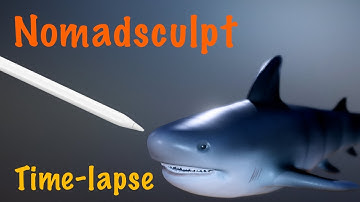 The shark - Nomadsculpt time-lapse