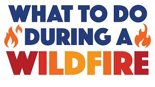 What To Do During a Wildfire
