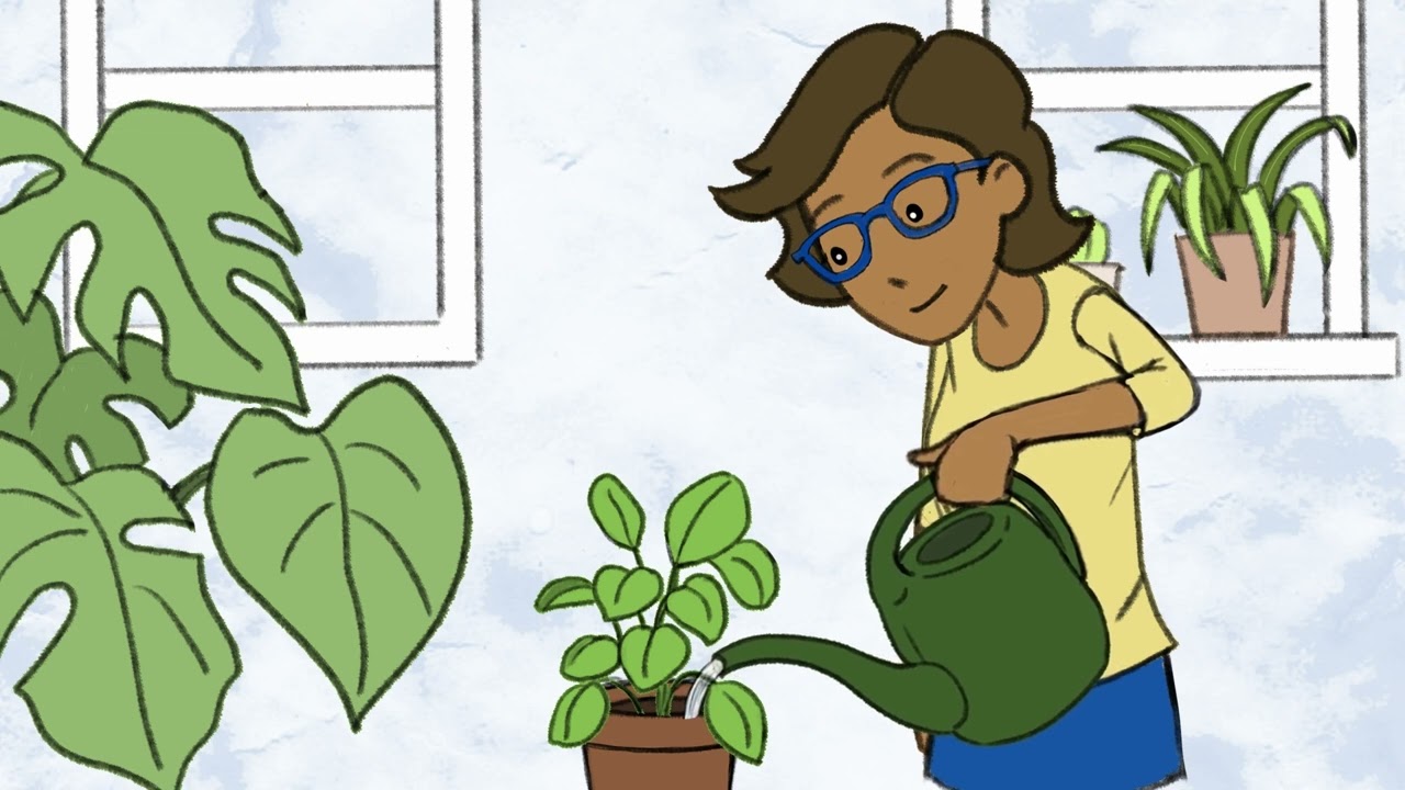 Elections SK Financial Agent training video