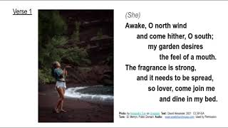 Song Of Solomon 416 And 51 Awake, O North Wind