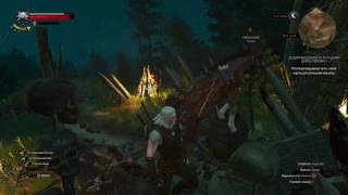 Witcher 3 - Roach doing stuff