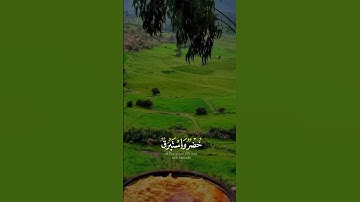 قران كريم تلاوه خاشعه يريح قلبك 💚#قرآن #راحة_نفسية