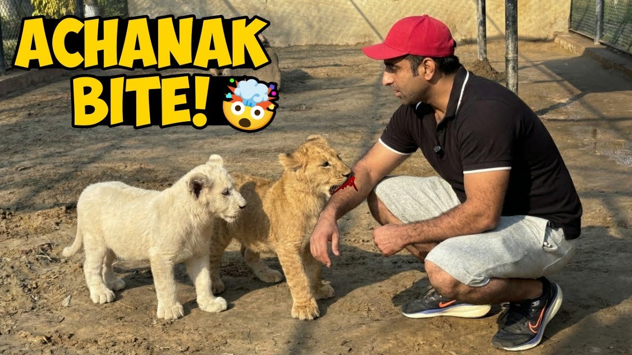 Thor Ne Achanak Mujhe Kaat Liya… Kya Yeh Mazaq Tha Ya Gussa? 😰