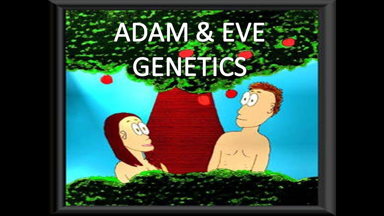 Adam By Eve A Live In Animation