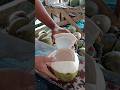 Pure coconut 🌴🥥💦 #coconutcuttingskills #fruit #coconutrefreshment #coconut #satisfying