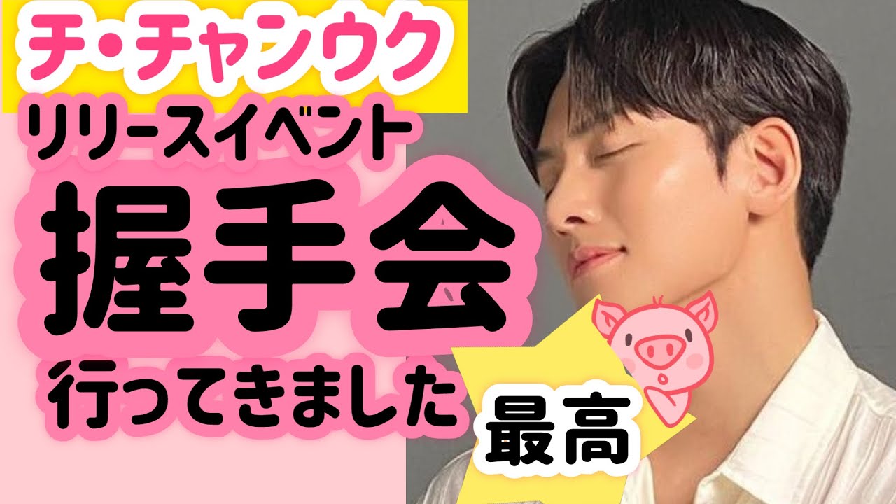 【値下げ不可】チ・チャンウク　ヒーラー 値下げ不可】チ・チャンウク ヒーラー
