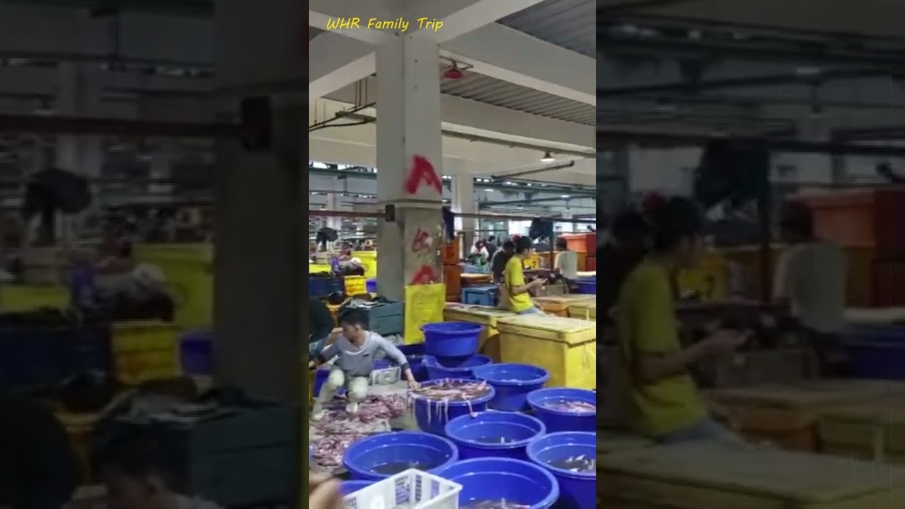 Pasar ikan Muara Baru