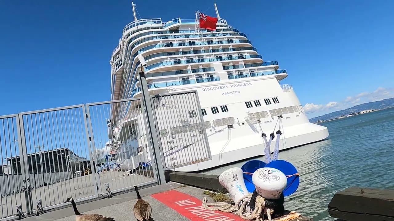 Discovery princess Cruises with 2 beautiful  Canadian geese or goose @ San Francisco