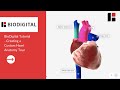 Biodigital tutorial  creating a custom heart anatomy tour