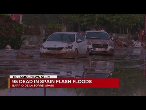 95 dead after