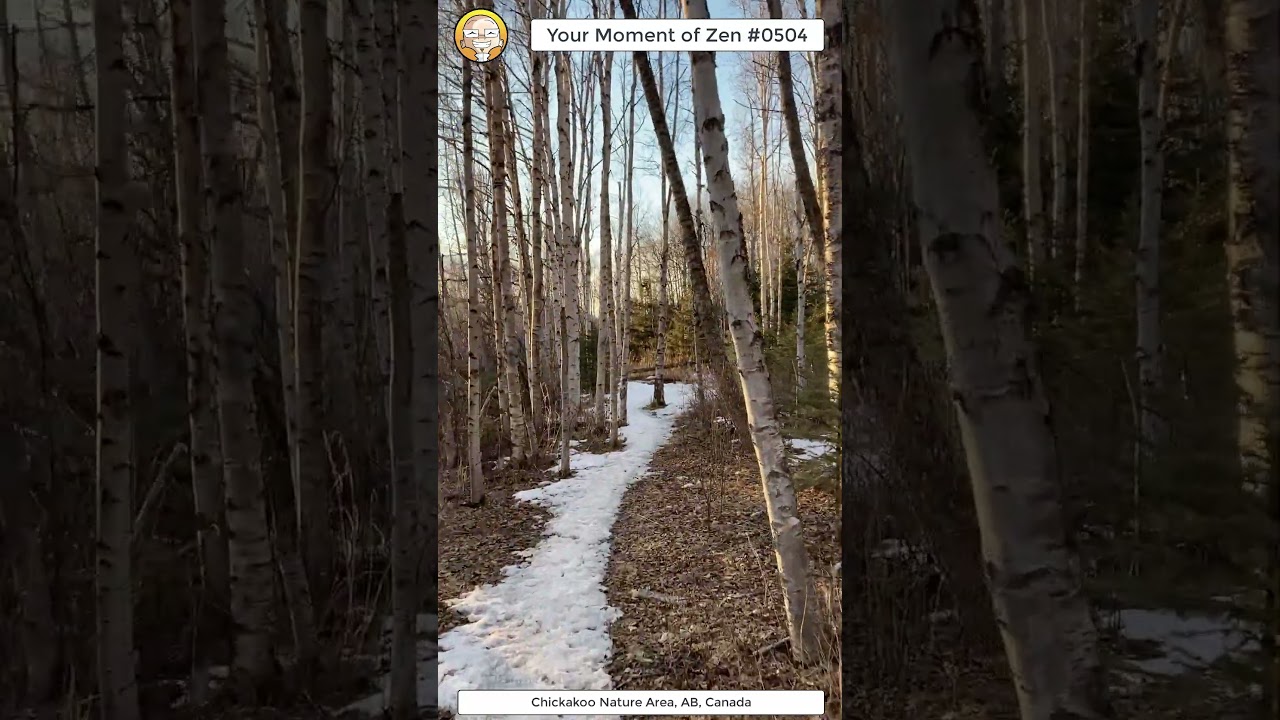 ScienceMan Moment of Zen 0504 