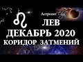 ЛЕВ - ДЕКАБРЬ 2020 - КОРИДОР ЗАТМЕНИЙ. Астролог Olga